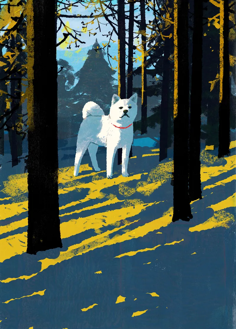 Tatsro Kiuchi artwork 7